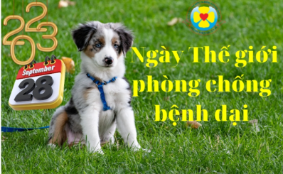 Ngày Thế giới phòng chống bệnh dại 28/9/2023